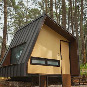 Kabin standard